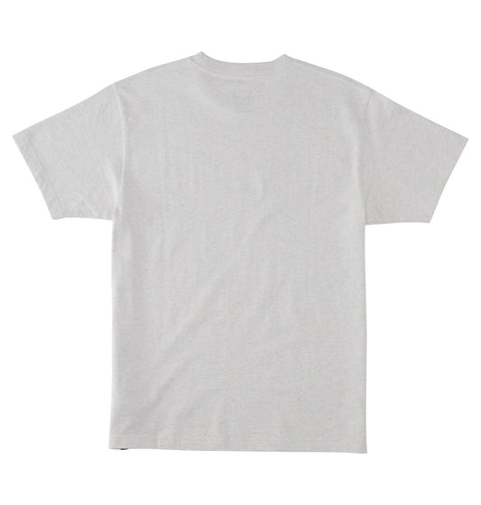 DC SHOES - T-shirt Showtime Starz HSS - snow heath
