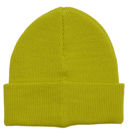 DC SHOES - DC Berretto Label Beanie apple green