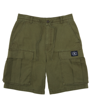 DC Shoes - Shorts Tundra Cargo Short - ivy green