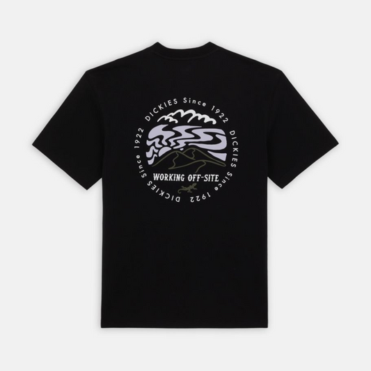DICKIES - STANARDSVILLE TEE - BLACK