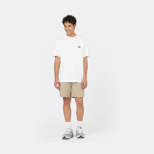 DICKIES - PELICAN RAPIDS DESERT SAND