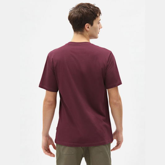 DICKIES - Mapleton T-Shirt a Maniche Corte