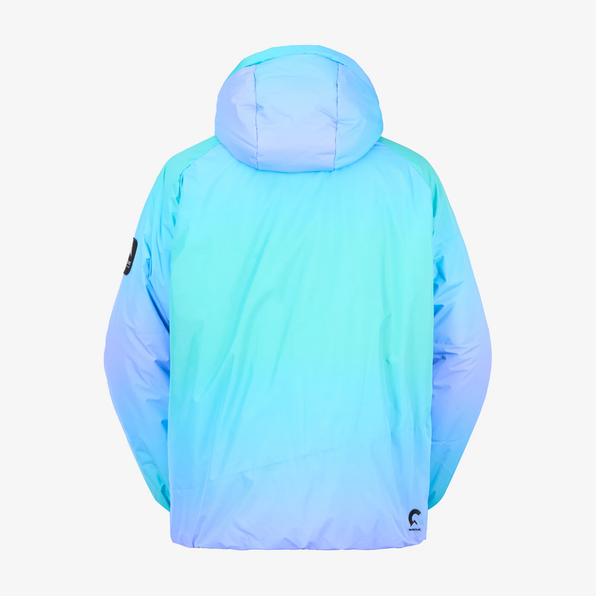 Picture Clothing Puffer Grdt Jkt - Frozen Gradient Print